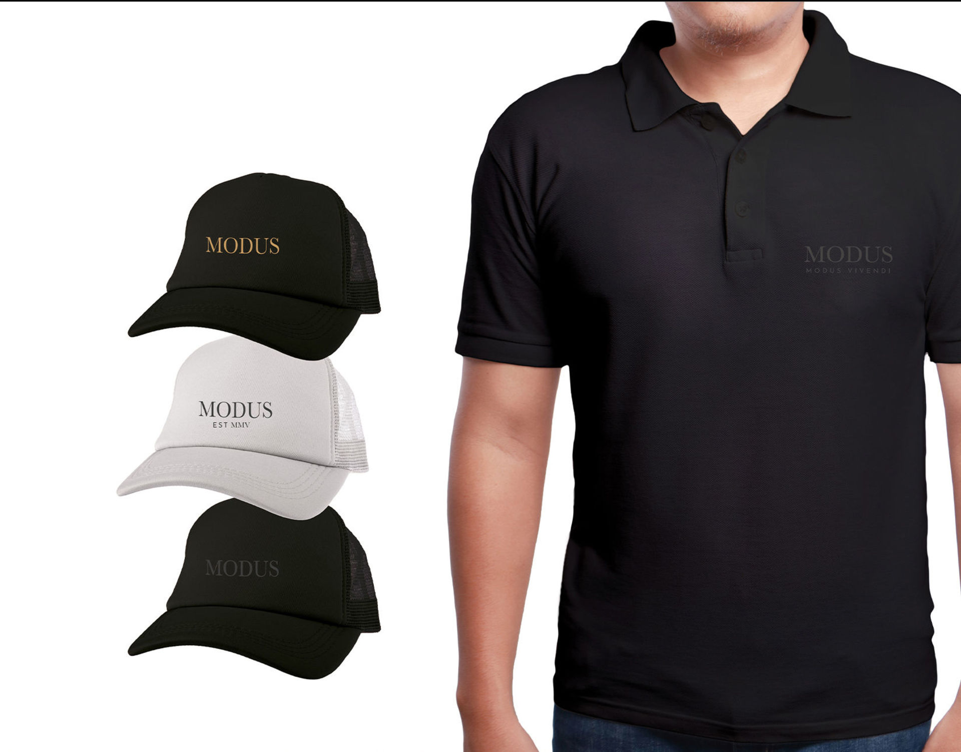 MODUS VIVENDI image 5