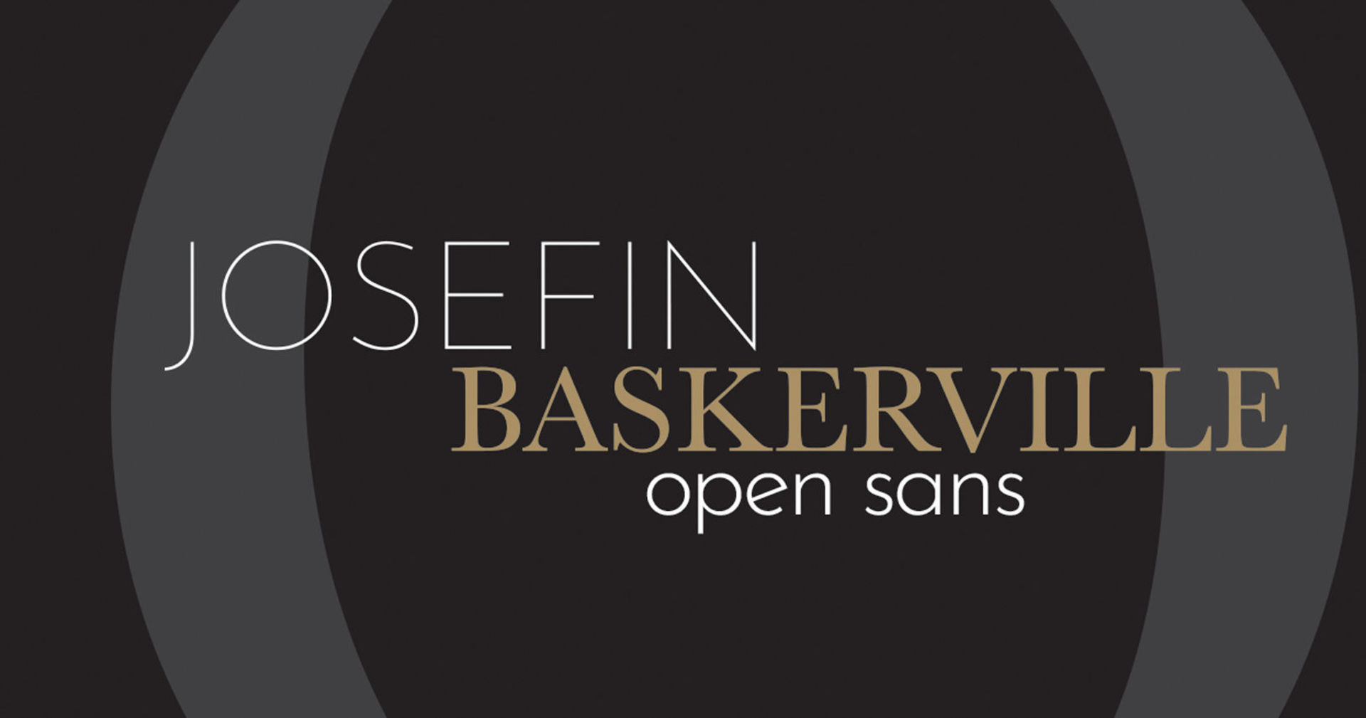 MODUS VIVENDI image 8