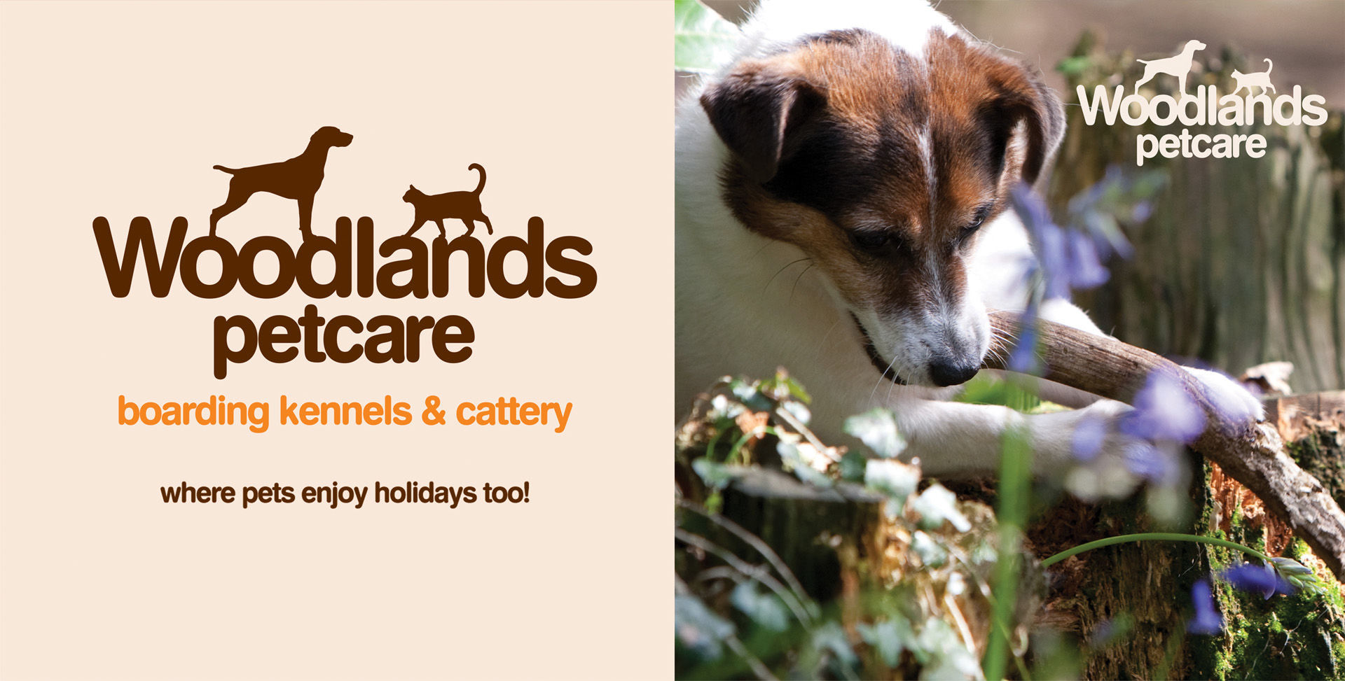 As Seen Previously image 11