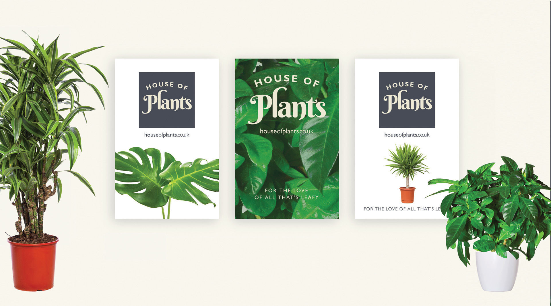 House of Plants image 3