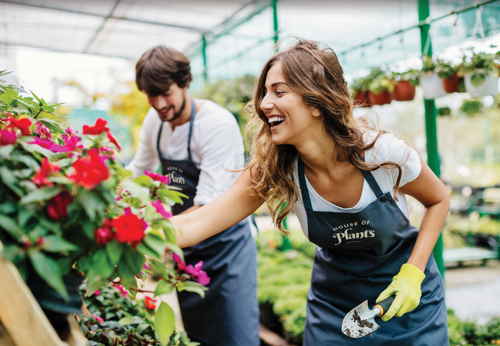 House of Plants image 4