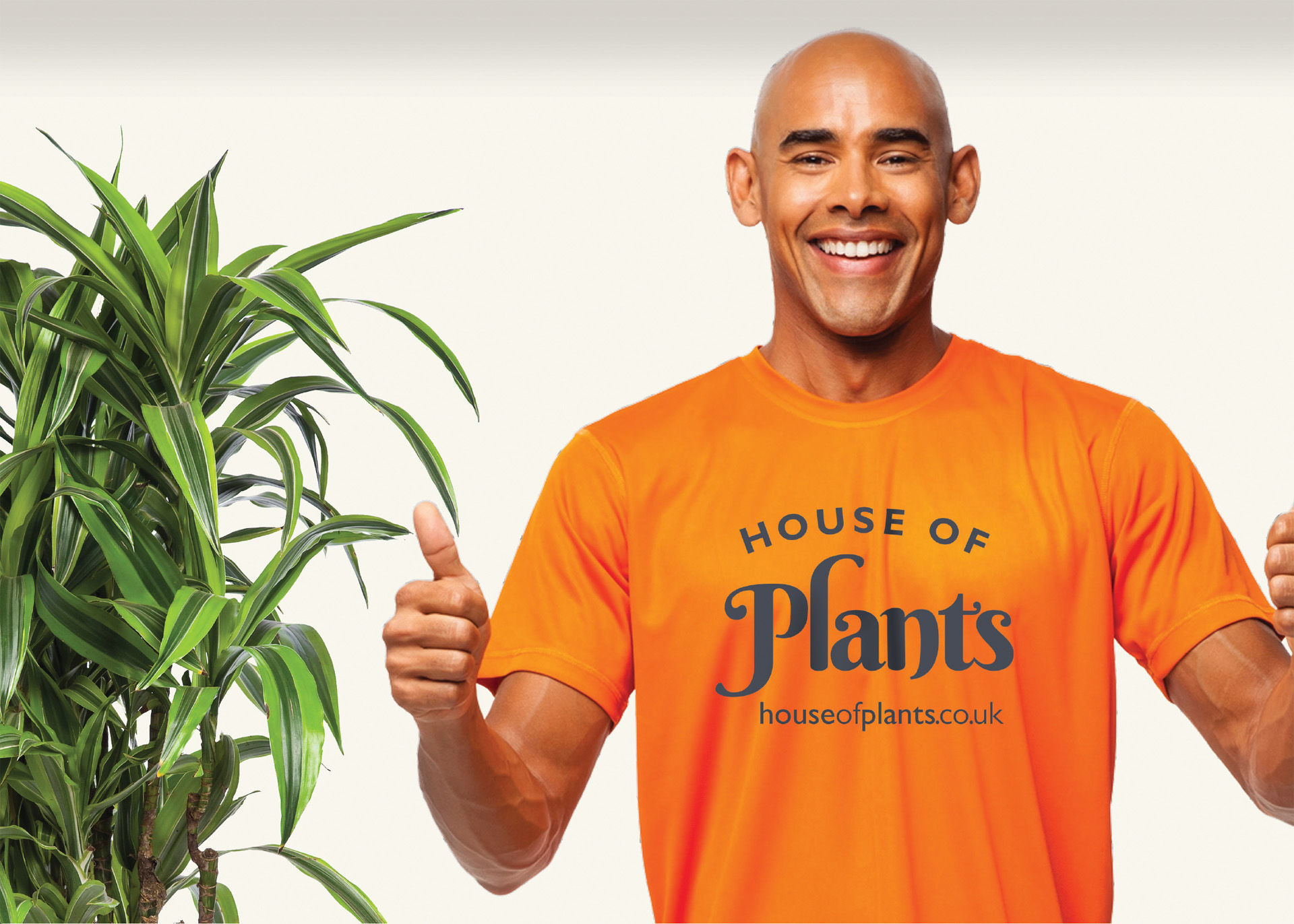 House of Plants image 7