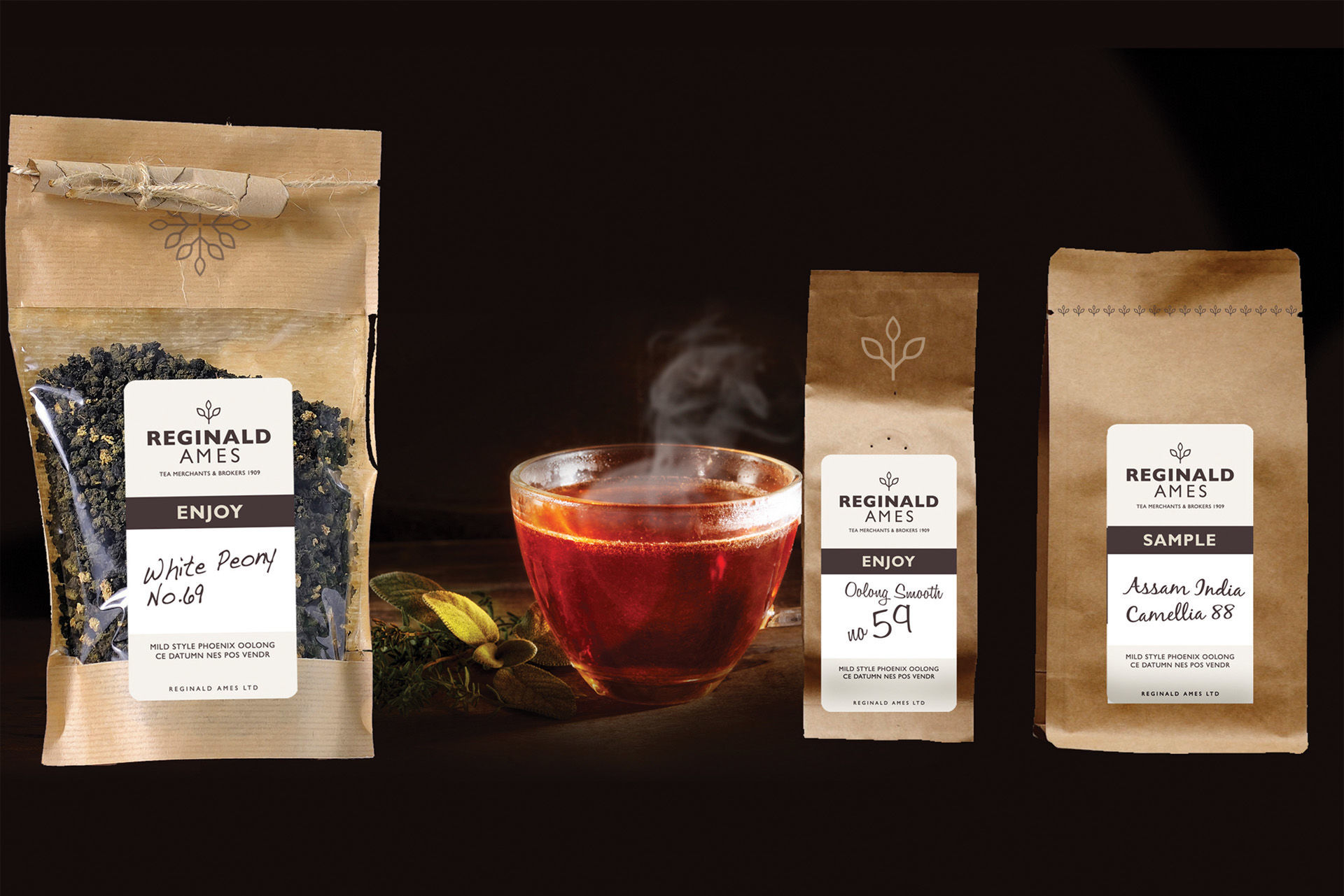 Reginald Ames image 6