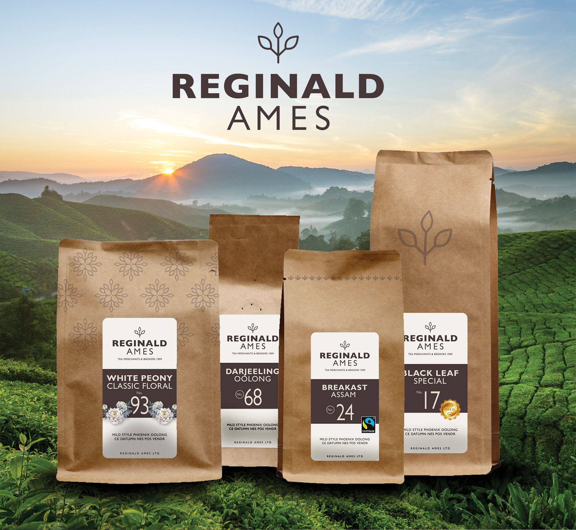 Reginald Ames image 7